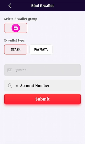 ✨Step 3: Fill in the e-wallet account number.